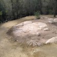 SFP-work-after-rain