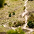 Stromlo Forest Park 14