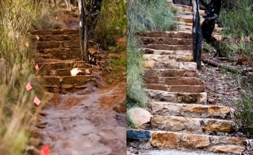 Casuarina Walking Track, Mt Majura, 2009 - before and after