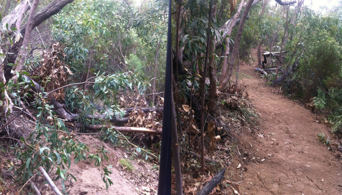Gilbraltar Peak Trail, 2012 - before and after